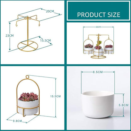 Aura Gold Basket - Elite Bazaar